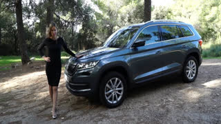 Обзор от Лиса Рулит - Полный обзор Шкода Кодиак от Лиса Рулит. Честно о Skoda Kodiaq