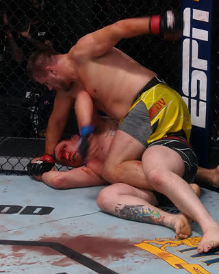 Лучшие финиши участников UFC Вегас 52