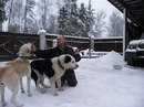 Фотография Петия Вадима