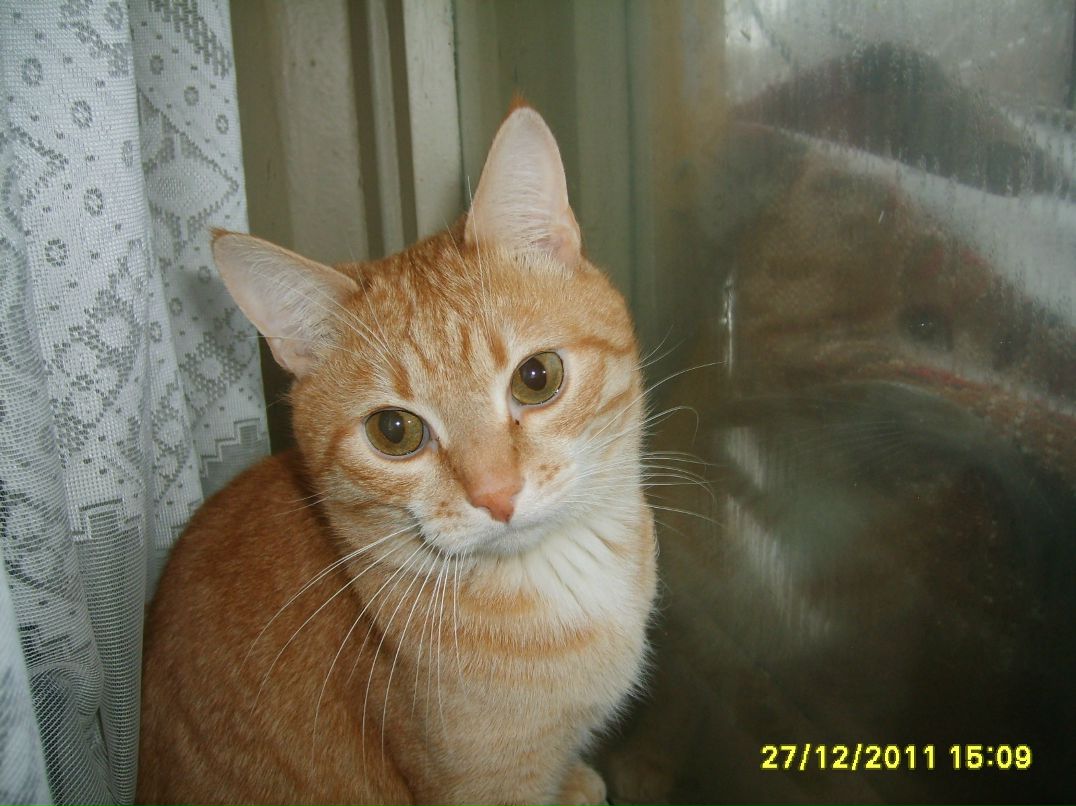 Валентин Матвеев фотография #41