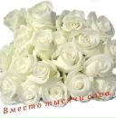 Ірина Гох фотография #17 (источник - https://vk.com/id27363745)