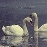 Дана Петріна фотография #19 (источник - https://vk.com/id167201289)