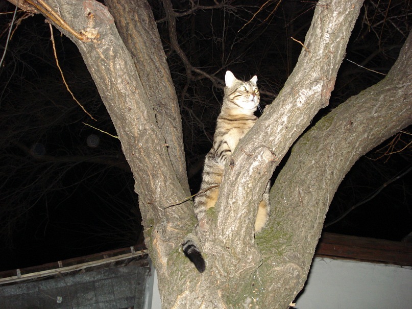 Ян Стулов фотография #33