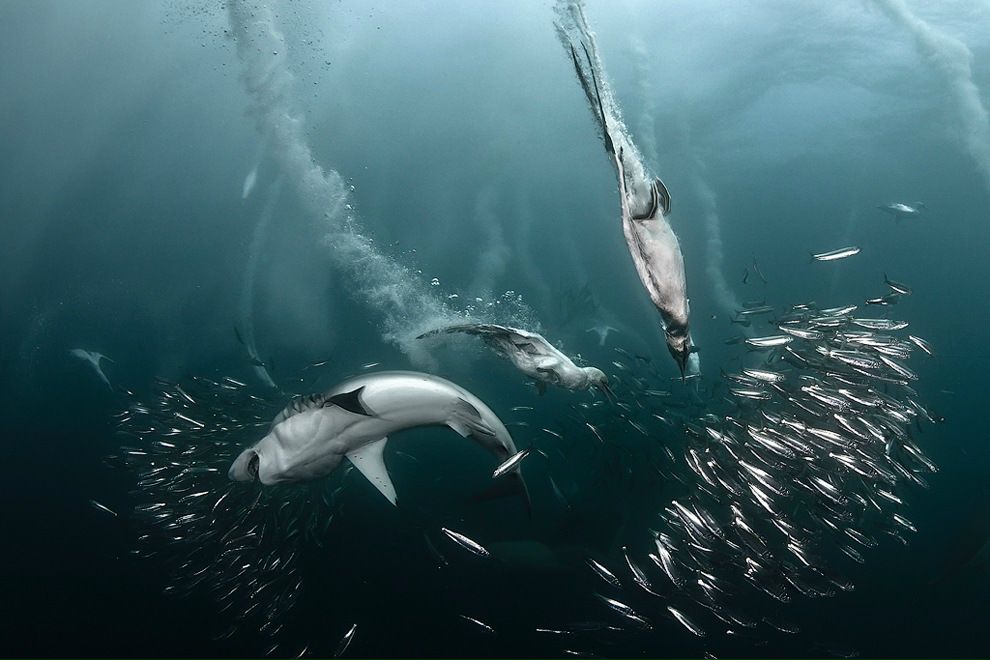 Денис Корнев фотография #28