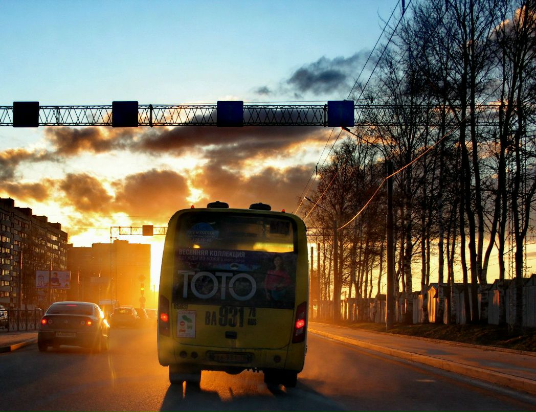 Николай Ковалев фотография #42