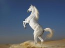Фотография Валерия Королёва