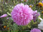 Надія Макогін фотография #2 (источник - https://vk.com/id133875981)