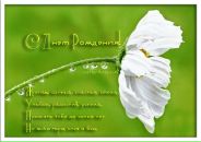 Ірина Гогалюк фотография #41 (источник - https://vk.com/id72288762)