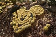 Джейн Эйр фотография #24 (источник - https://vk.com/id440454)