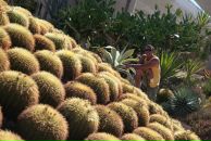 Джейн Эйр фотография #21 (источник - https://vk.com/id440454)