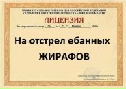 Діма Ващук фотография #20 (источник - https://vk.com/id128991610)