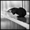 Аліна Клюнда фотография #36 (источник - https://vk.com/id75017718)