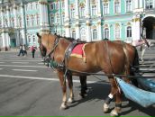 Вадим Горчаков фотография #50 (источник - https://vk.com/id2906348)