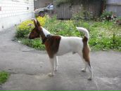 Фотография Марголиной Гальки