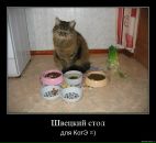Саша С_____ фотография #43 (источник - https://vk.com/id4338449)