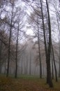 Александр Дорофеев фотография #35 (источник - https://vk.com/id75198683)