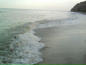 Dimon__ Кукал фотография #37 (источник - https://vk.com/id72558537)