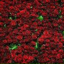 Фотография Горы Юлии