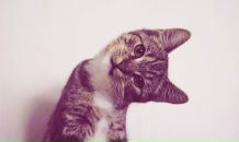 Фотография Нестеровой Анны