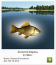 Андрій Стеців фотография #43 (источник - https://vk.com/id164789428)