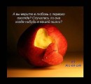 Сашунечка:) Дрозд фотография #29 (источник - https://vk.com/id83322451)