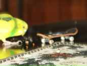 Kirill _| фотография #25 (источник - https://vk.com/id97007344)