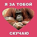 Міша Романюк фотография #48 (источник - https://vk.com/id80403807)