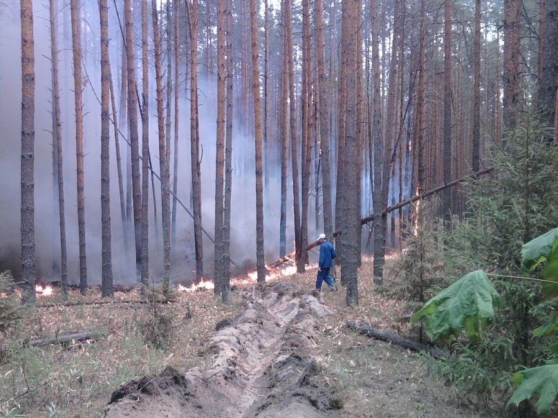 Дмитрий Васин фотография #50