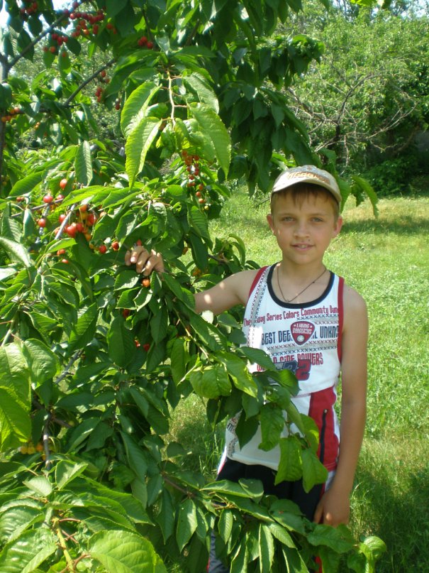 Стефан Курдий фотография #28