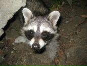 Фотография Сиротининой Марии