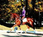 Μарина Κорнилова фотография #35 (источник - https://vk.com/id135490126)