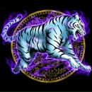 Іван Козьмин фотография #35 (источник - https://vk.com/id133319733)