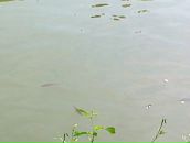 Міша Тригуб фотография #40 (источник - https://vk.com/id33896452)