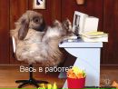 Діана Савицька фотография #13 (источник - https://vk.com/id164472296)