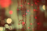 Сергей Сангаджи-Горяев фотография #11 (источник - https://vk.com/id407728)