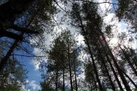 Анна Иванова фотография #36 (источник - https://vk.com/id3065498)