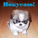 Андрій Шпинта фотография #12 (источник - https://vk.com/id113002071)
