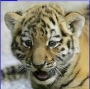 Анастасія Книш фотография #48 (источник - https://vk.com/id222269627)