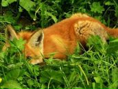 Фотография Болдыревой Светланы