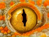 Фотография Жукова Алексея