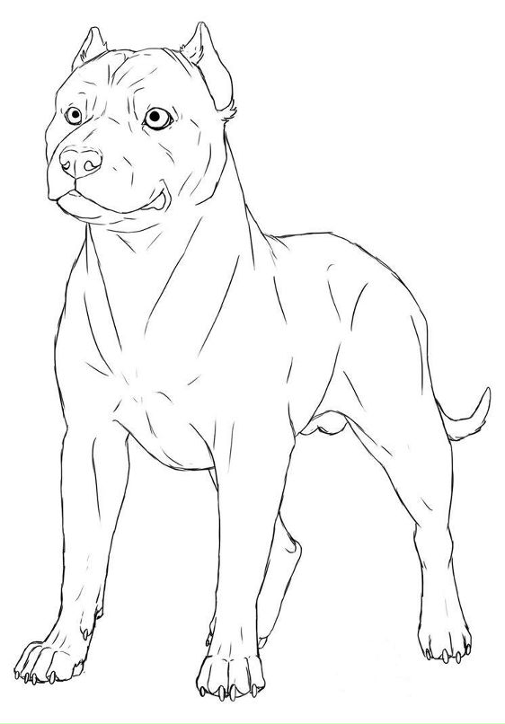 Александр Бамкнутый фотография #6