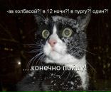 Дмитрий Лаур фотография #29 (источник - https://vk.com/id4613446)