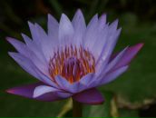 Фотография Мойкиной Анастасии