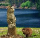 Фотография Боброва Евгения