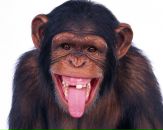 Фотография Соколова Александра