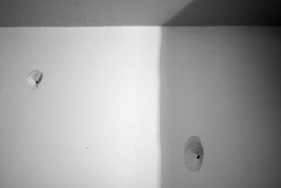 Mark Scheider фото №4