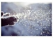 Фотография Федоровой Марии