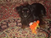 Валюня Кіс фотография #1