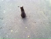 Фотография Мироновой-Смиренниковой Марины