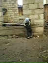Світлана Цапельцавер фотография #25 (источник - https://vk.com/id135071319)